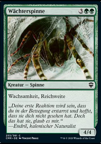 Wächterspinne (Sentinel Spider)